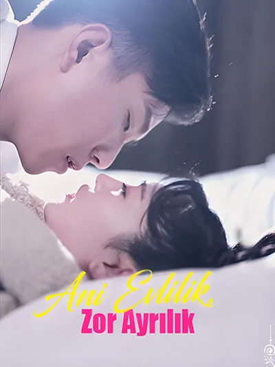 Ani Evlilik, Zor Ayrılık dizisi kapak görseli — 82 bölüm full HD Türkçe izle