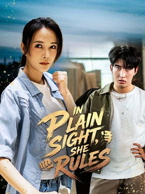 In Plain Sight, She Rules cover image — watch all 74 episodes free in HD