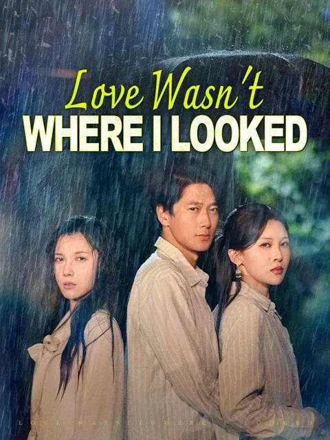 Love Wasn't Where I Looked cover image — watch all 74 episodes free in HD