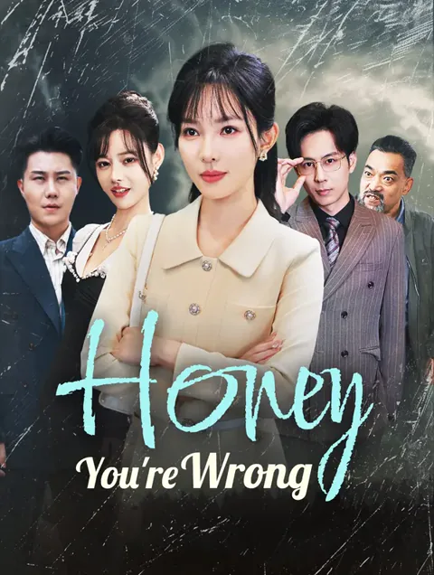 Honey, You're Wrong cover image — watch all 79 episodes free in HD