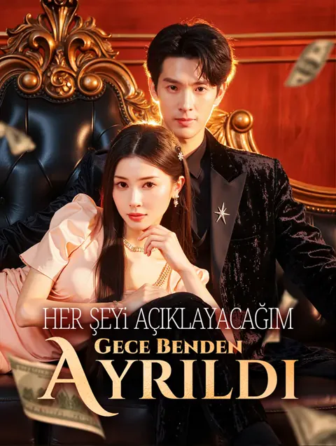 Her Şeyi Açıklayacağım Gece Benden Ayrıldı dizisi kapak görseli — 70 bölüm full HD Türkçe izle
