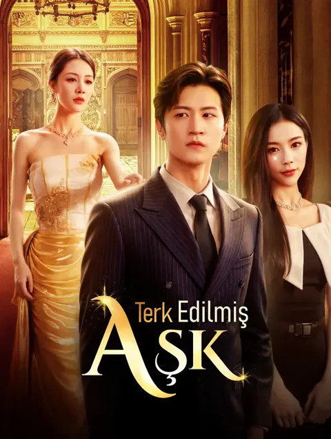 Terk Edilmiş Aşk dizisi kapak görseli — 71 bölüm full HD Türkçe izle
