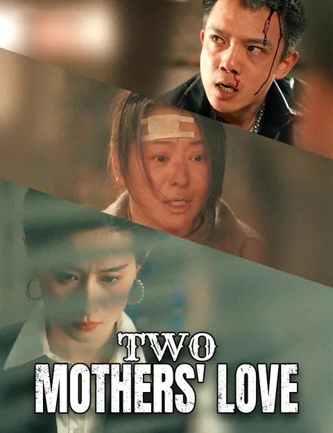 Two Mothers' Love cover image — watch all 79 episodes free in HD