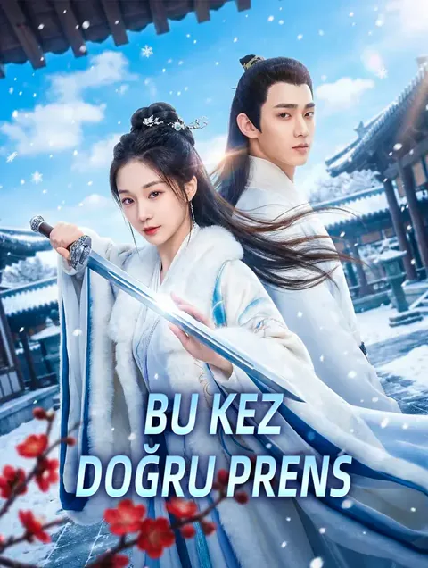 Bu Kez Doğru Prens dizisi kapak görseli — 84 bölüm full HD Türkçe izle