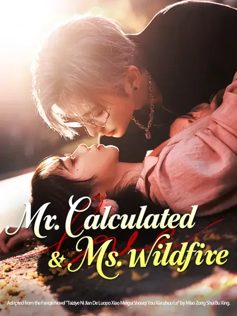 Mr. Calculated & Ms. Wildfire cover image — watch all 74 episodes free in HD
