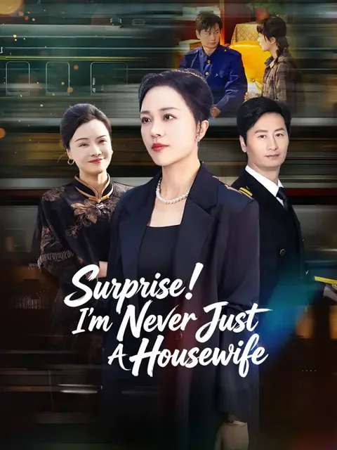 Surprise! I'm Never Just A Housewife cover image — watch all 52 episodes free in HD