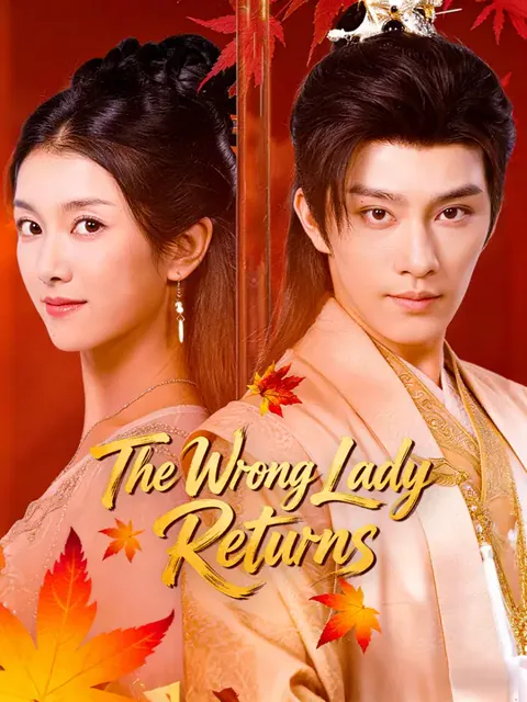 The Wrong Lady Returns cover image — watch all 67 episodes free in HD