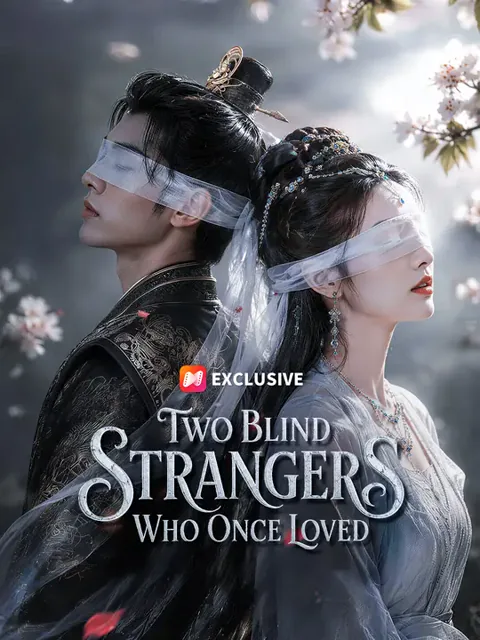 Two Blind Strangers Who Once Loved cover image — watch all 76 episodes free in HD
