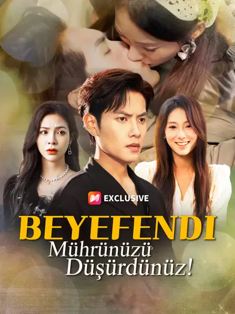 Beyefendi, Mührünüzü Düşürdünüz! dizisi kapak görseli — 61 bölüm full HD Türkçe izle