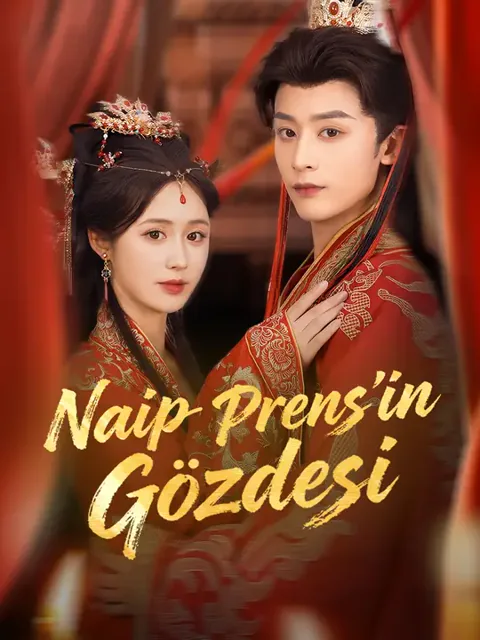 Naip Prens'in Gözdesi dizisi kapak görseli — 76 bölüm full HD Türkçe izle