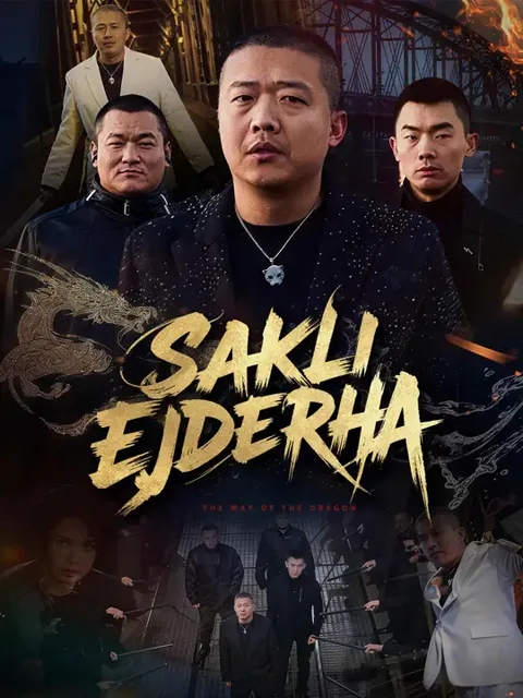 Saklı Ejderha dizisi kapak görseli — 60 bölüm full HD Türkçe izle