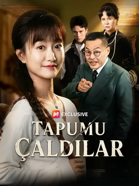 Tapumu Çaldılar dizisi kapak görseli — 60 bölüm full HD Türkçe izle