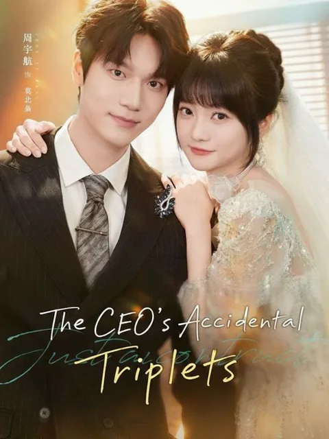 The CEO's Accidental Triplets cover image — watch all 61 episodes free in HD