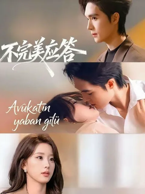 Avukatın yaban gülü dizisi kapak görseli — 71 bölüm full HD Türkçe izle