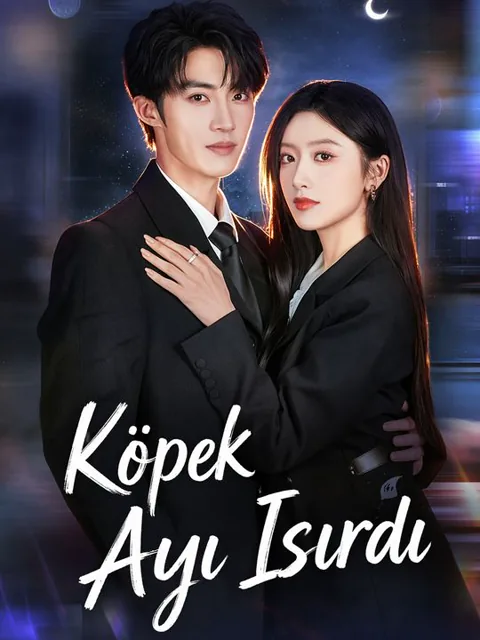 Köpek Ayı Isırdı dizisi kapak görseli — 67 bölüm full HD Türkçe izle