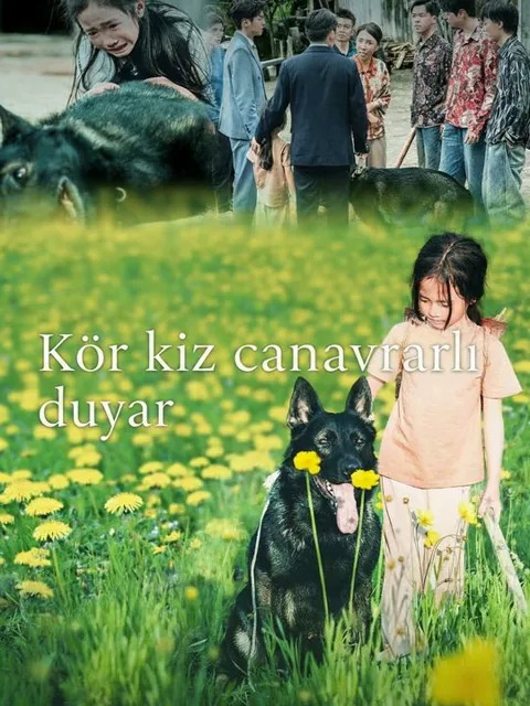 Kör kız canavarları duyar dizisi kapak görseli — 61 bölüm full HD Türkçe izle