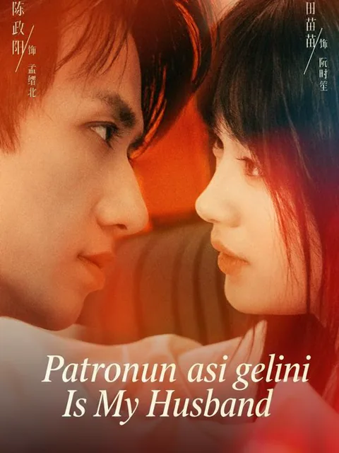 Patronun asi gelini dizisi kapak görseli — 60 bölüm full HD Türkçe izle