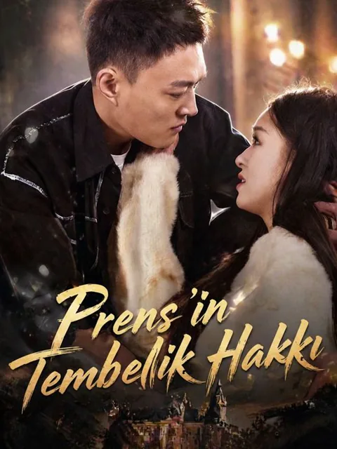 Prens'in Tembellik Hakkı dizisi kapak görseli — 96 bölüm full HD Türkçe izle