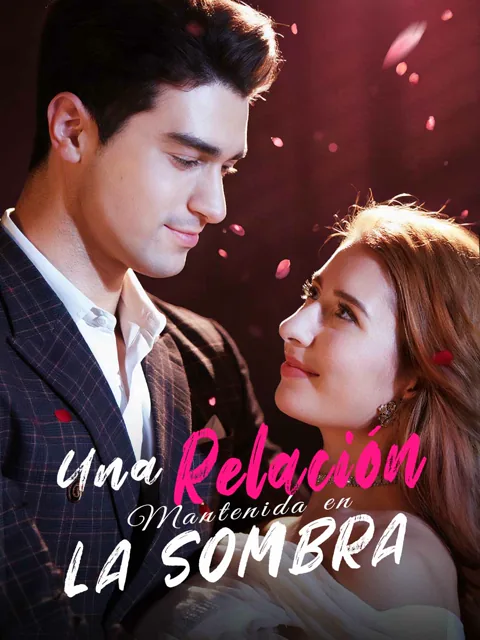Una Relación Mantenida en la Sombra portada — ver los 62 episodios gratis en HD