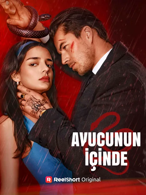 Avucunun İçinde dizisi kapak görseli — 73 bölüm full HD Türkçe izle
