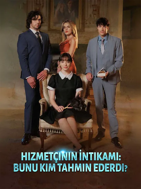 Hizmetçinin İntikamı:Bunu Kim Tahmin Ederdi? dizisi kapak görseli — 80 bölüm full HD Türkçe izle
