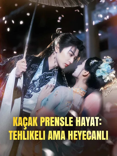 Kaçak Prensle Hayat: Tehlikeli Ama Heyecanlı dizisi kapak görseli — 87 bölüm full HD Türkçe izle