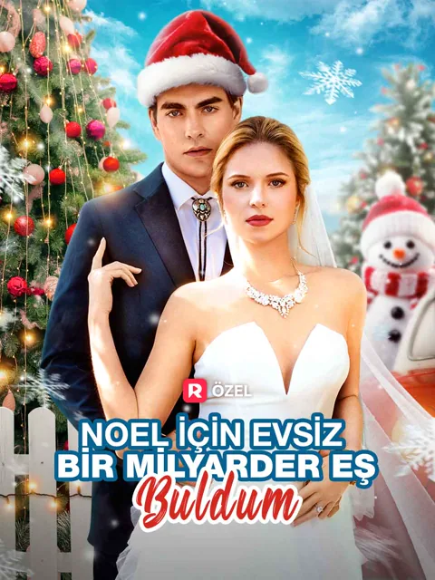 Noel için evsiz bir milyarder eş buldum dizisi kapak görseli — 71 bölüm full HD Türkçe izle