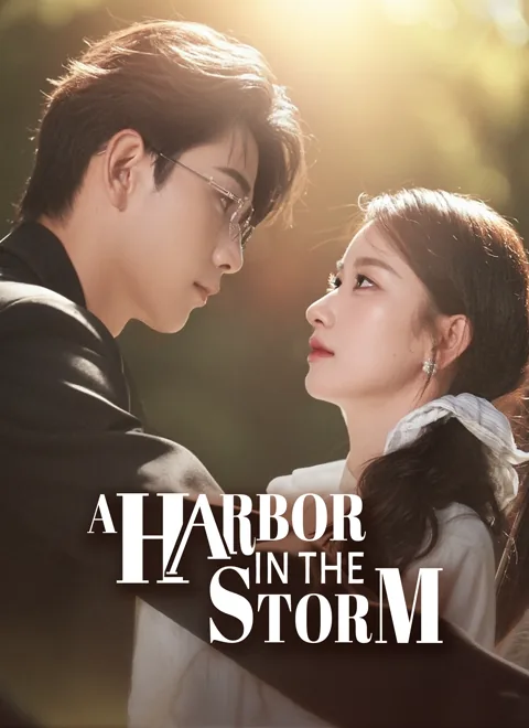 A Harbor in the Storm cover image — watch all 62 episodes free in HD