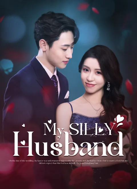 My SILLY Husband cover image — watch all 94 episodes free in HD