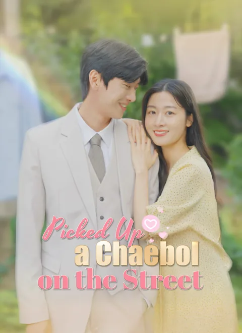 Picked Up a Chaebol on the Street cover image — watch all 50 episodes free in HD