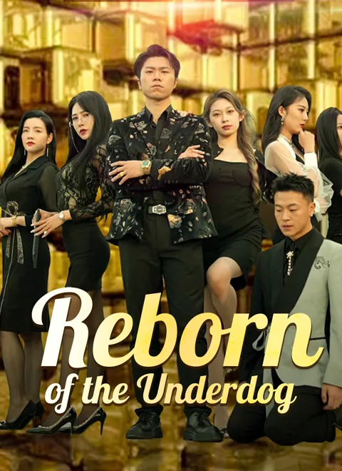 Reborn of the Underdog cover image — watch all 76 episodes free in HD