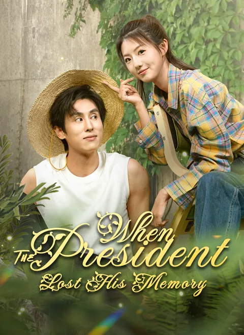 When The President Lost His Memory cover image — watch all 32 episodes free in HD