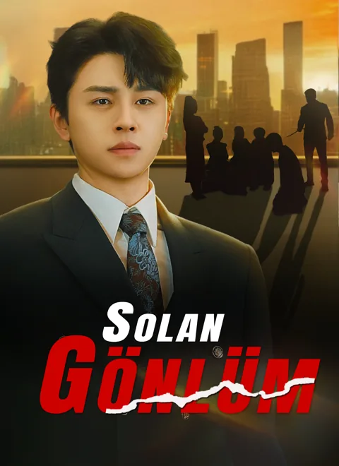 Solan Gönlüm dizisi kapak görseli — 61 bölüm full HD Türkçe izle