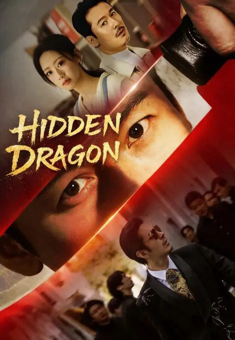 Hidden Dragon cover image — watch all 65 episodes free in HD