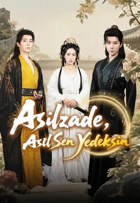 Asilzade, Asıl Sen Yedeksin dizisi kapak görseli — 60 bölüm full HD Türkçe izle