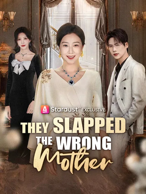 They Slapped The Wrong Mother cover image — watch all 63 episodes free in HD