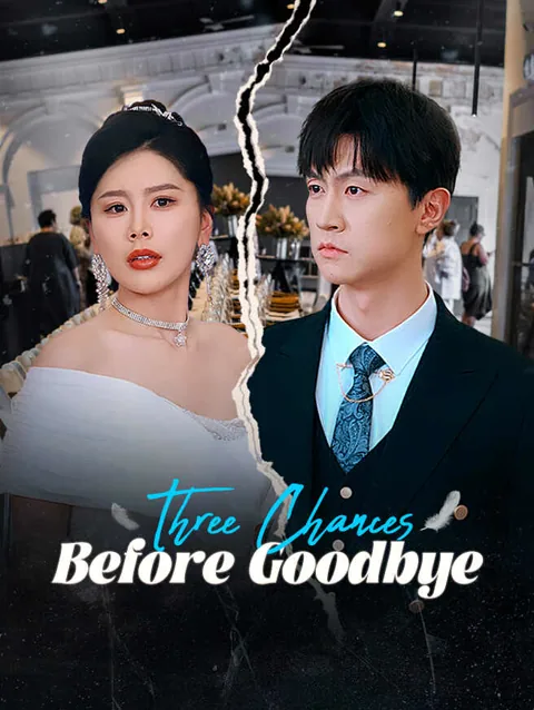 Three Chances Before Goodbye cover image — watch all 73 episodes free in HD