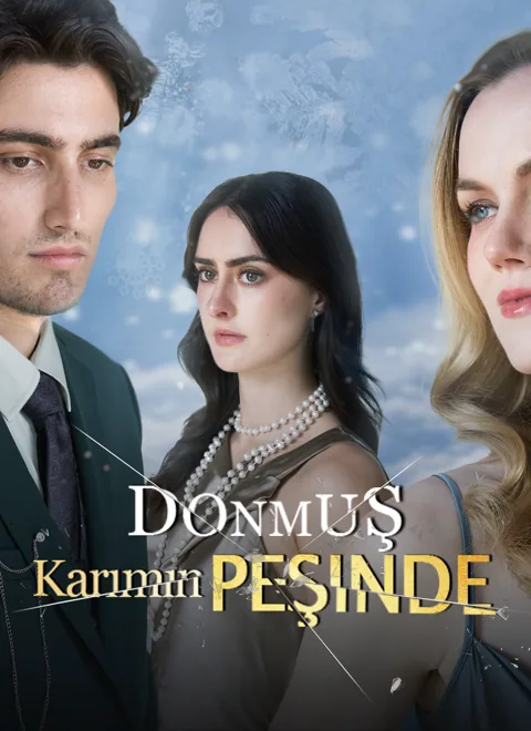 Donmuş Karımın Peşinde dizisi kapak görseli — 41 bölüm full HD Türkçe izle